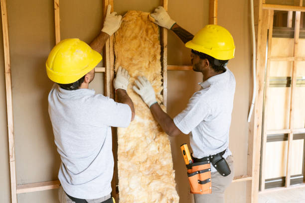 Best Spray Foam Insulation  in Lake Cherokee, TX